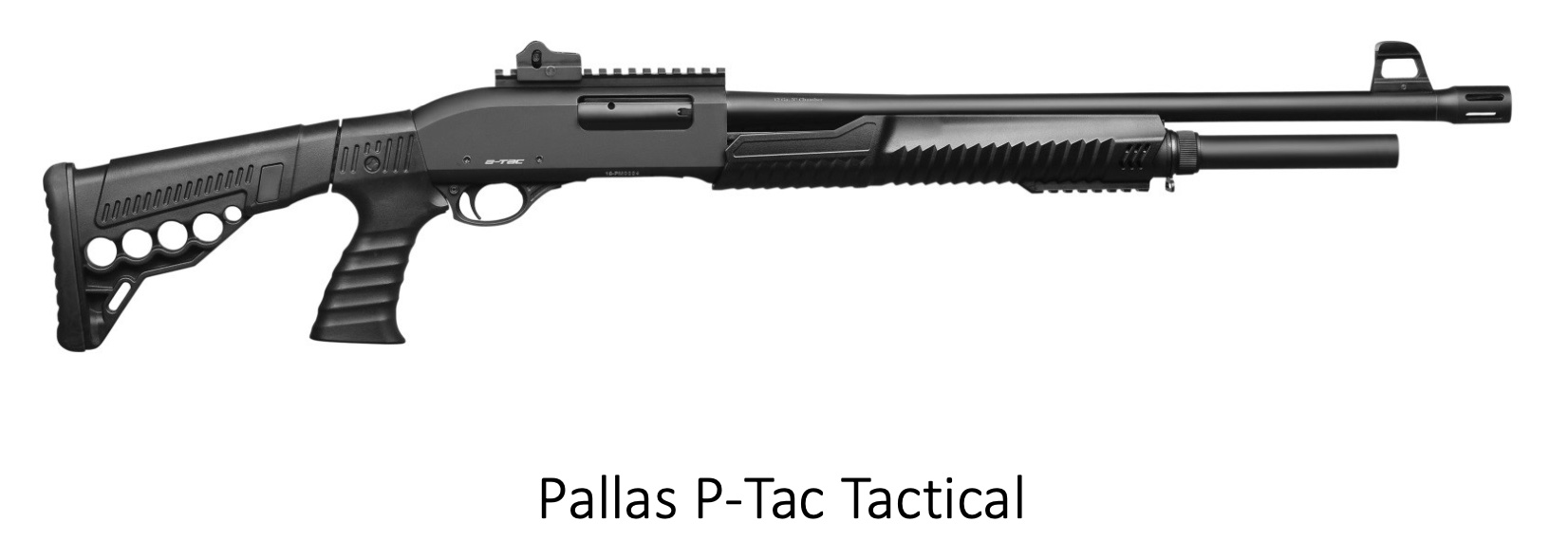 Pallas-P-TAc2n5aLVOhFUwvf1