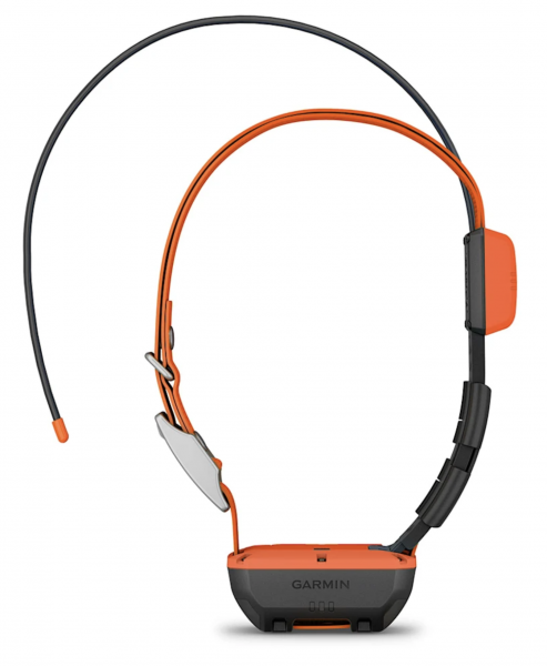 Garmin Alpha T20K GPS Hundehalsband in schwarz / orange