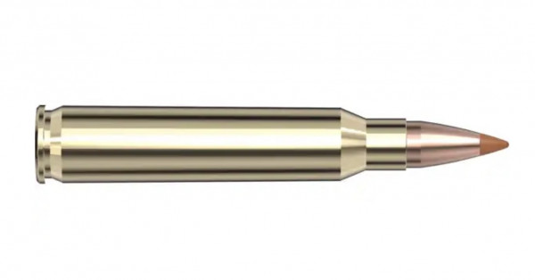 Hornady 191283 .223 Rem. 35 gr NTX Superformance
